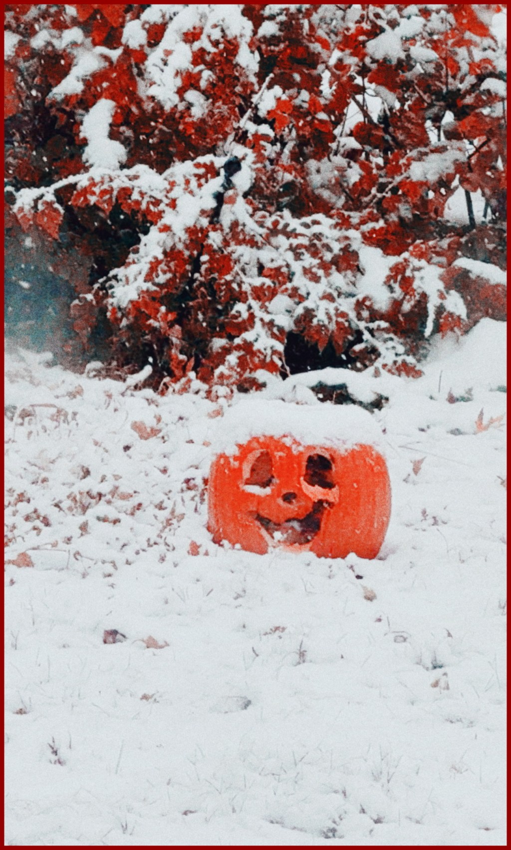 Why Winter is My Preferred Weather&nbsp;Season