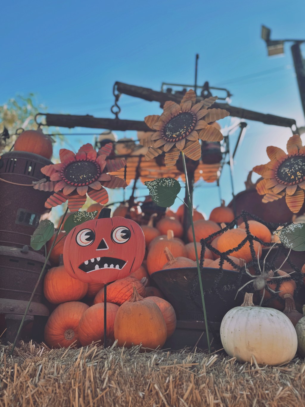 Camera Roll Shots:&nbsp;1